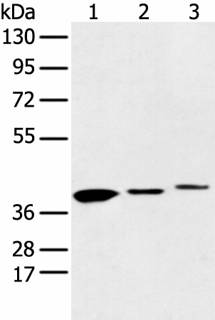 Валидация Elabscience E-AB-18357