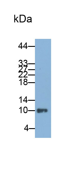 33200