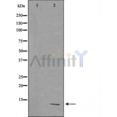 Валидация Affinity DF3711 - 14755