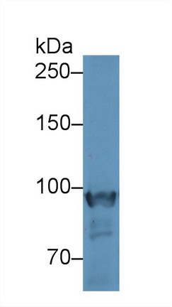 9205