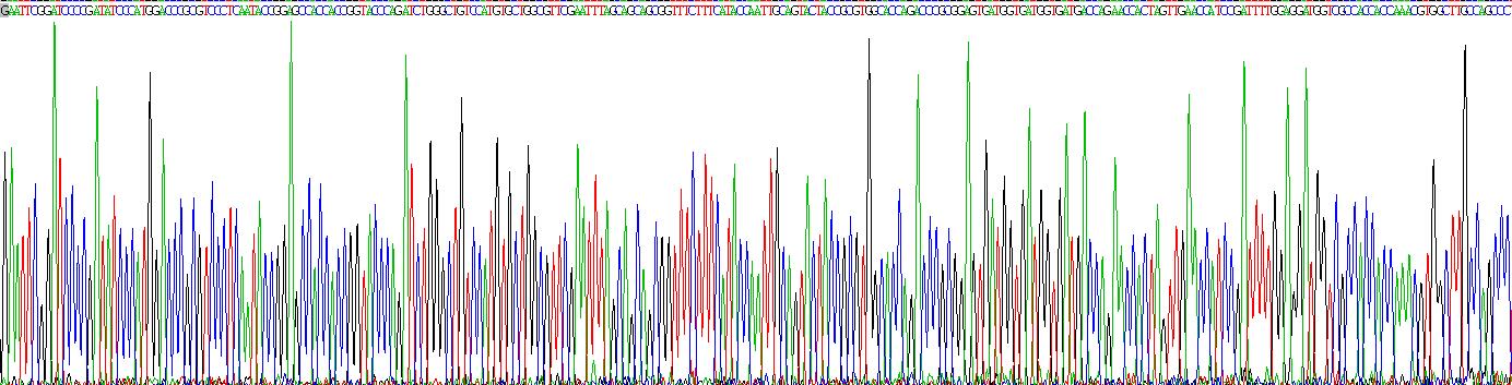 23402