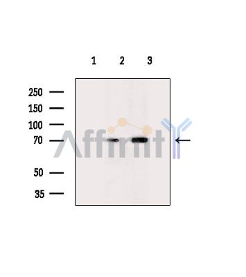 Валидация Affinity DF15692 - 12152