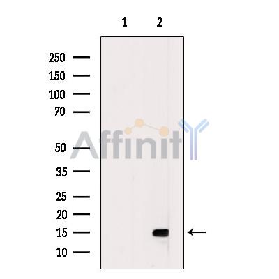 Валидация Affinity DF9912 - 22887