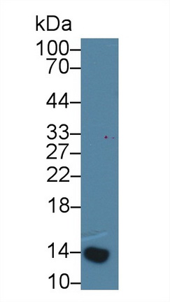 14841