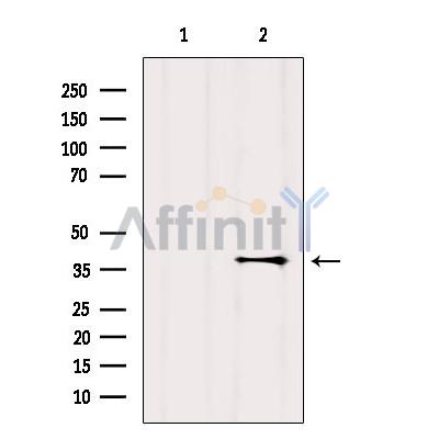 Валидация Affinity DF4892 - 16686