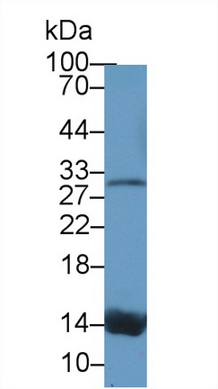 9179
