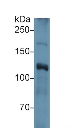 13222