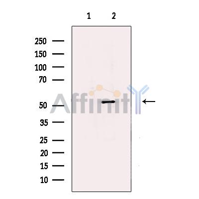 Валидация Affinity DF13569 - 9027