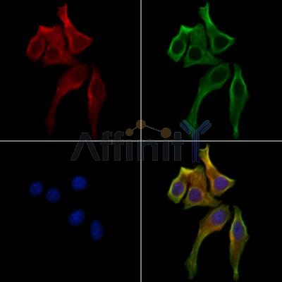 Валидация Affinity DF13019 - 7824