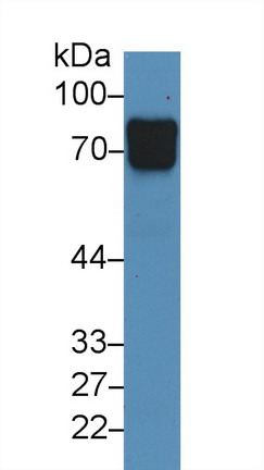 9830