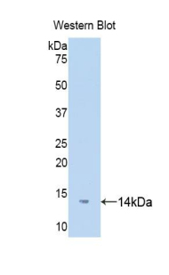 50088