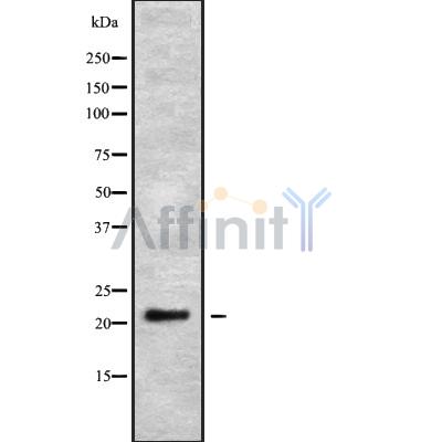 Валидация Affinity DF9451 - 22029