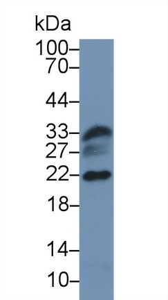 13769
