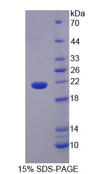 53544