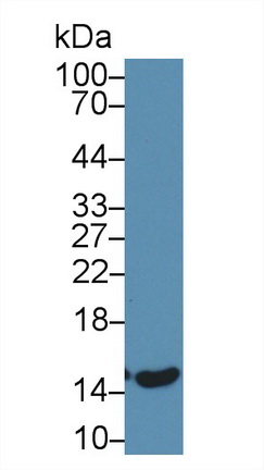 10440