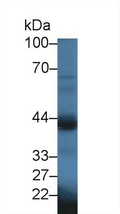 10071