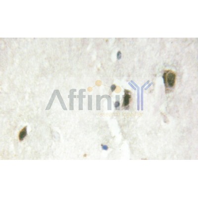 Валидация Affinity AF6456 - 3776