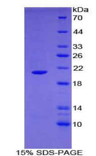 48573