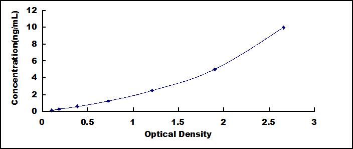 62064
