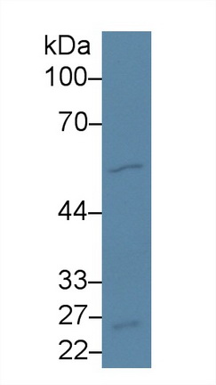 13984
