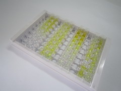 929