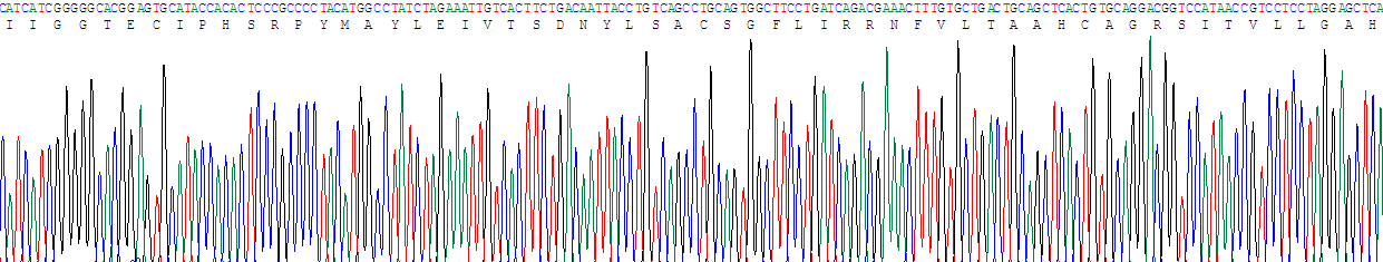 21009