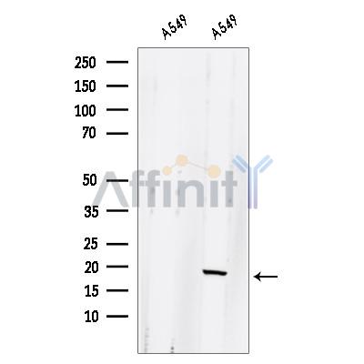Валидация Affinity DF12618 - 7246