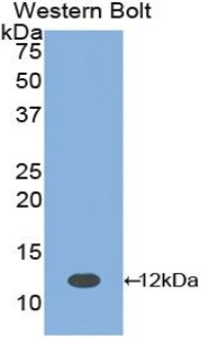 39894