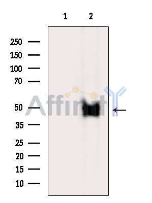 Валидация Affinity DF9140 - 21475