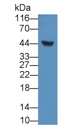 367