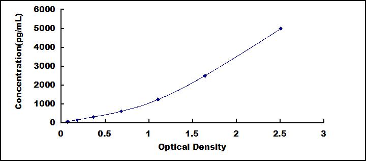 65091