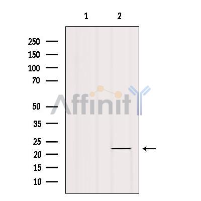 Валидация Affinity DF8968 - 21152