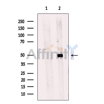 Валидация Affinity DF10367 - 5991