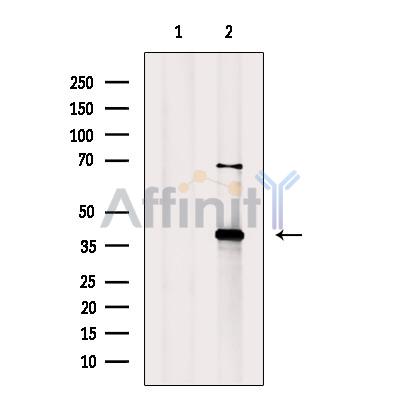Валидация Affinity DF7266 - 18932