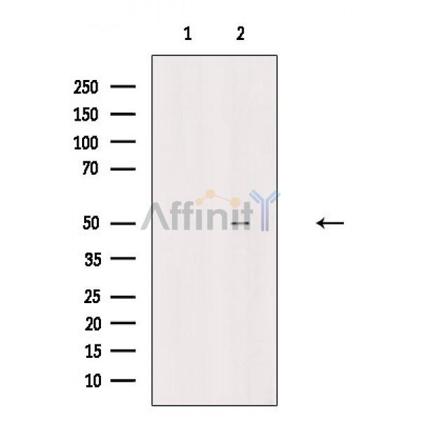 Валидация Affinity DF7667 - 19434