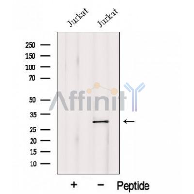 Валидация Affinity DF12626 - 7258