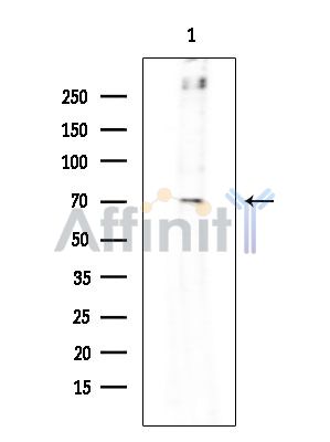 Валидация Affinity DF4555 - 16144