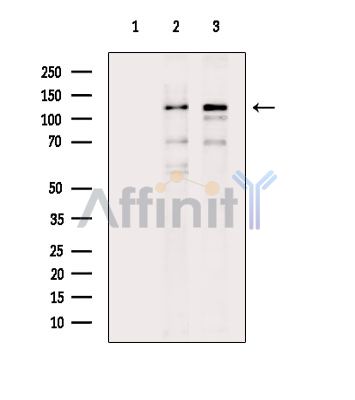 Валидация Affinity DF14674 - 10719