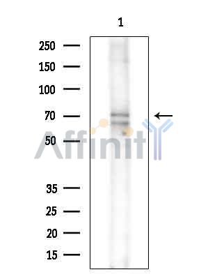 Валидация Affinity DF14512 - 10494