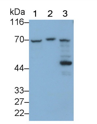 5886