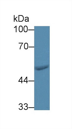 8907