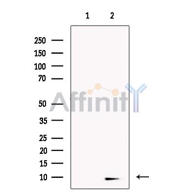 Валидация Affinity DF13720 - 9347