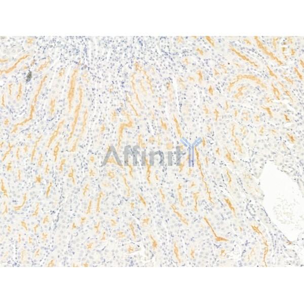 Валидация Affinity DF9214 - 21618