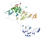 Mannosyl Alpha-1,6-Glycoprotein Beta-1,6-N-Acetylglucosaminyltransferase Isozyme B (MGAT5B)