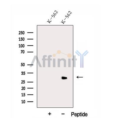 Валидация Affinity DF12943 - 7701