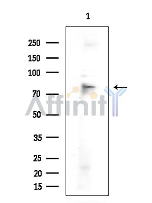 Валидация Affinity DF7683 - 19456