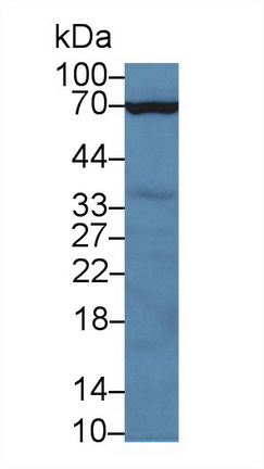 13857