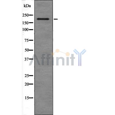 Валидация Affinity DF2405 - 13002