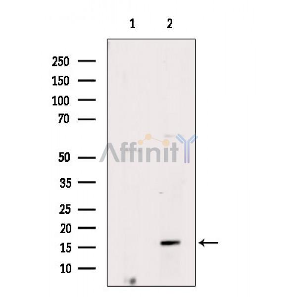 Валидация Affinity DF4003 - 15245