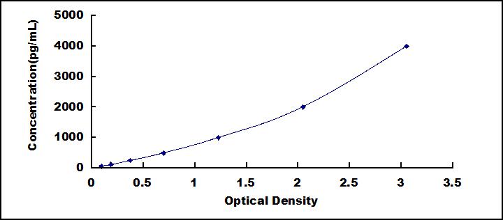 62048